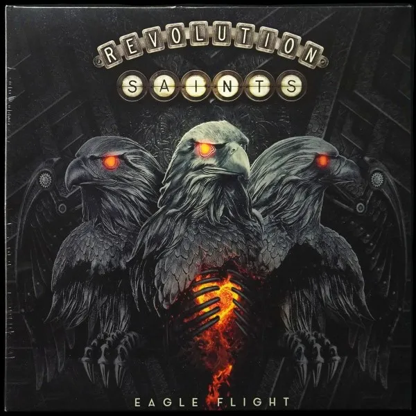Eagle Flight