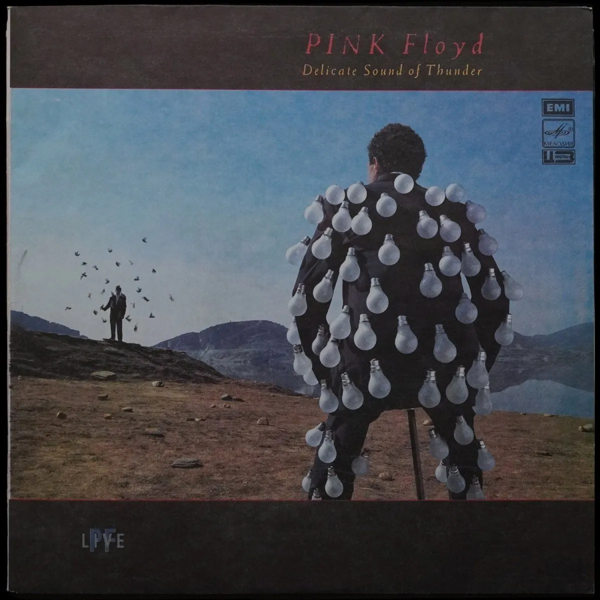 LP Pink Floyd — Delicate Sound Of Thunder (2LP) фото