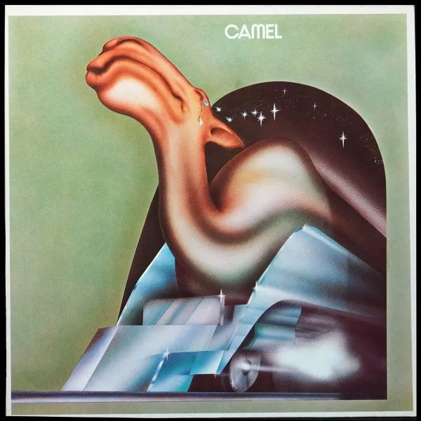 Camel