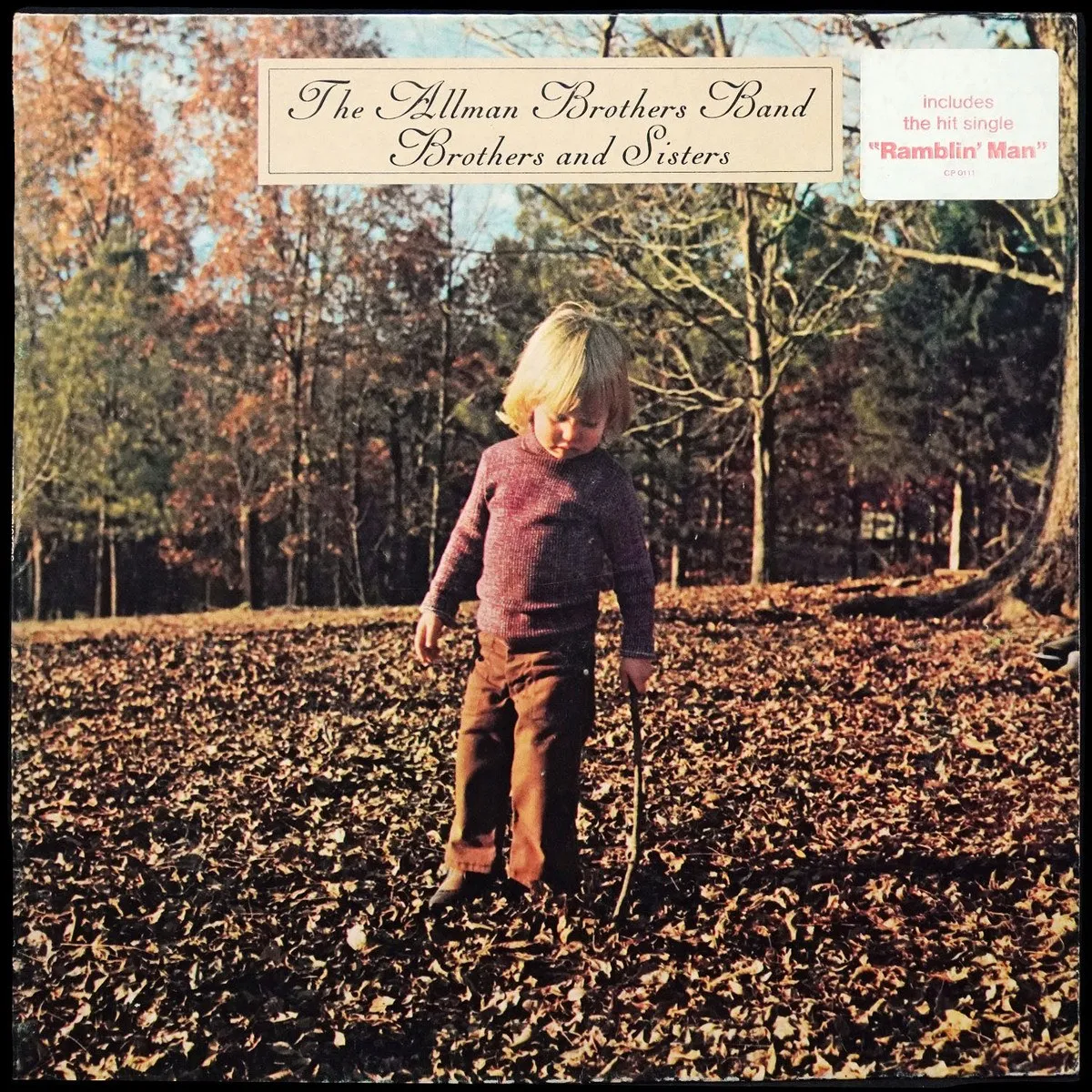 LP Allman Brothers Band — Brothers And Sisters фото