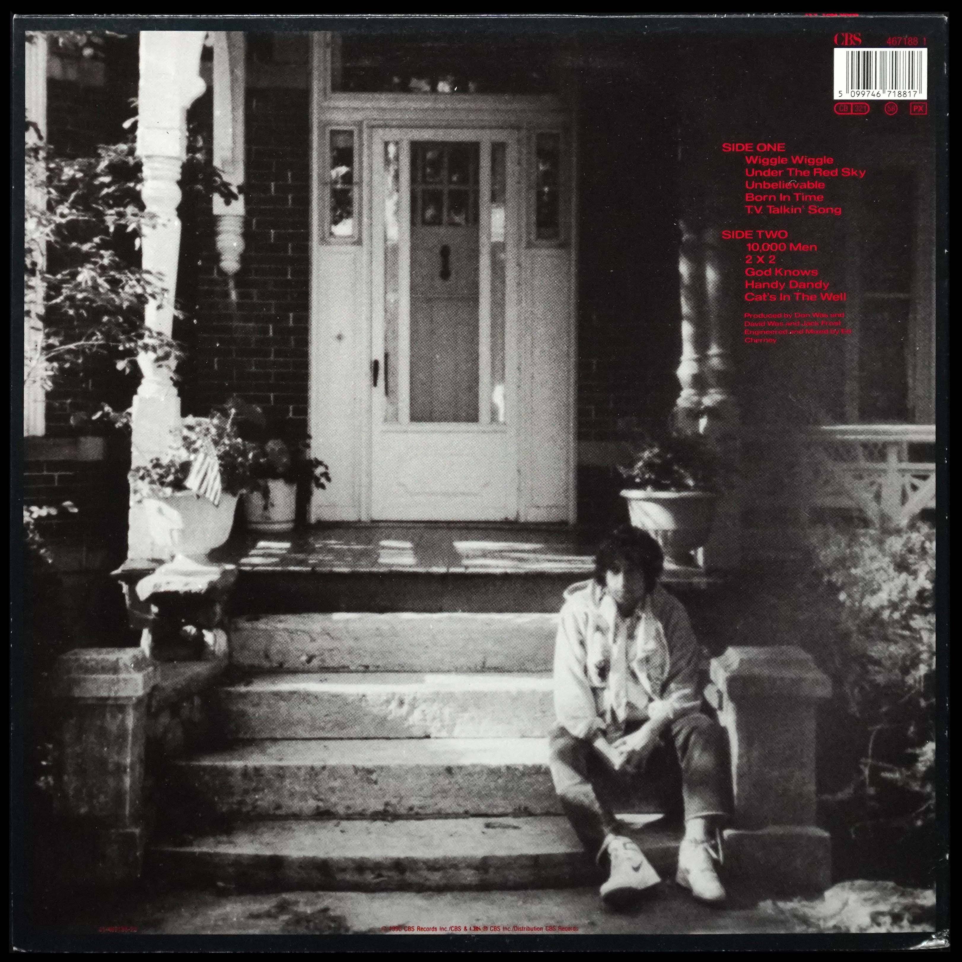 LP Bob Dylan — Under The Red Sky фото 2