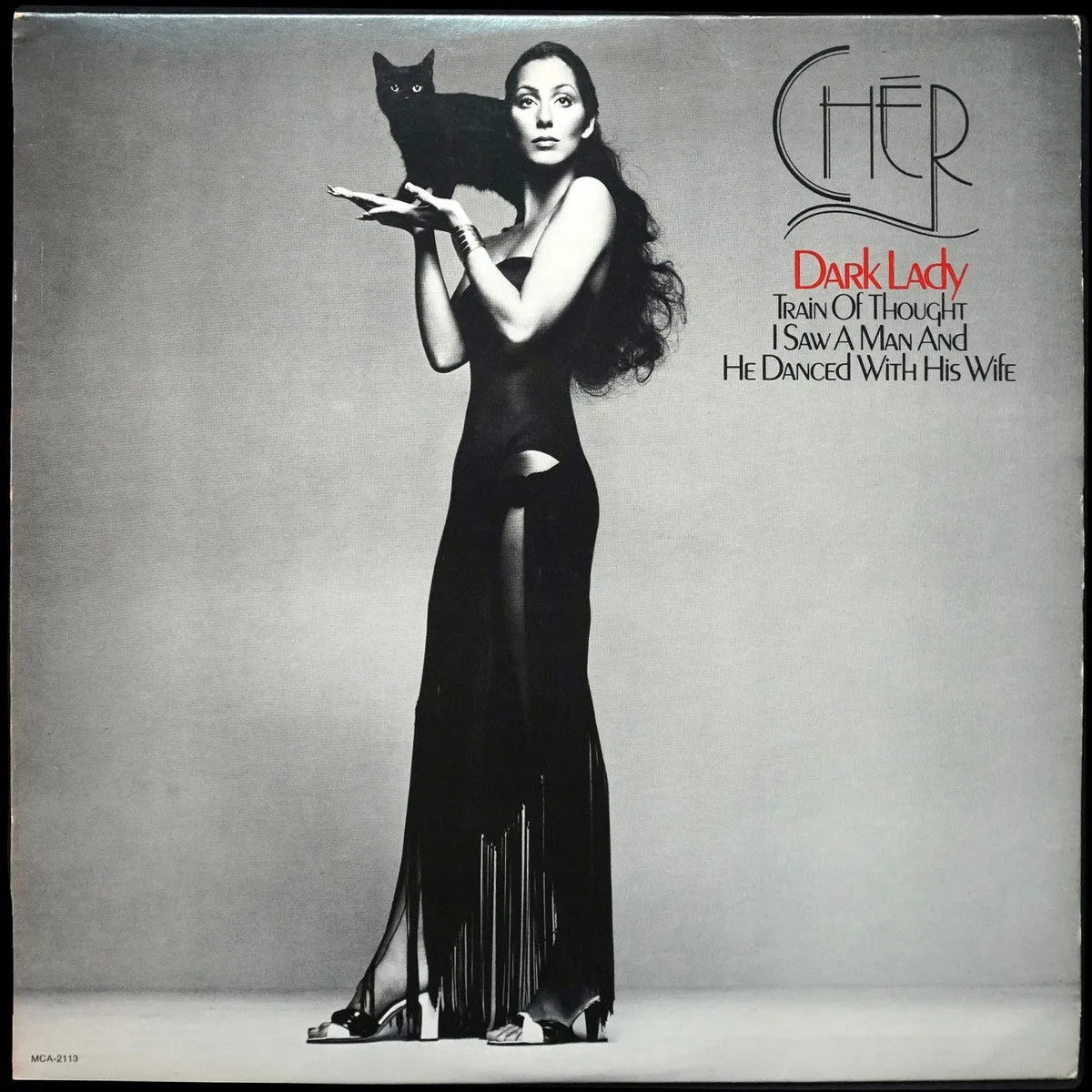 LP Cher — Dark Lady фото