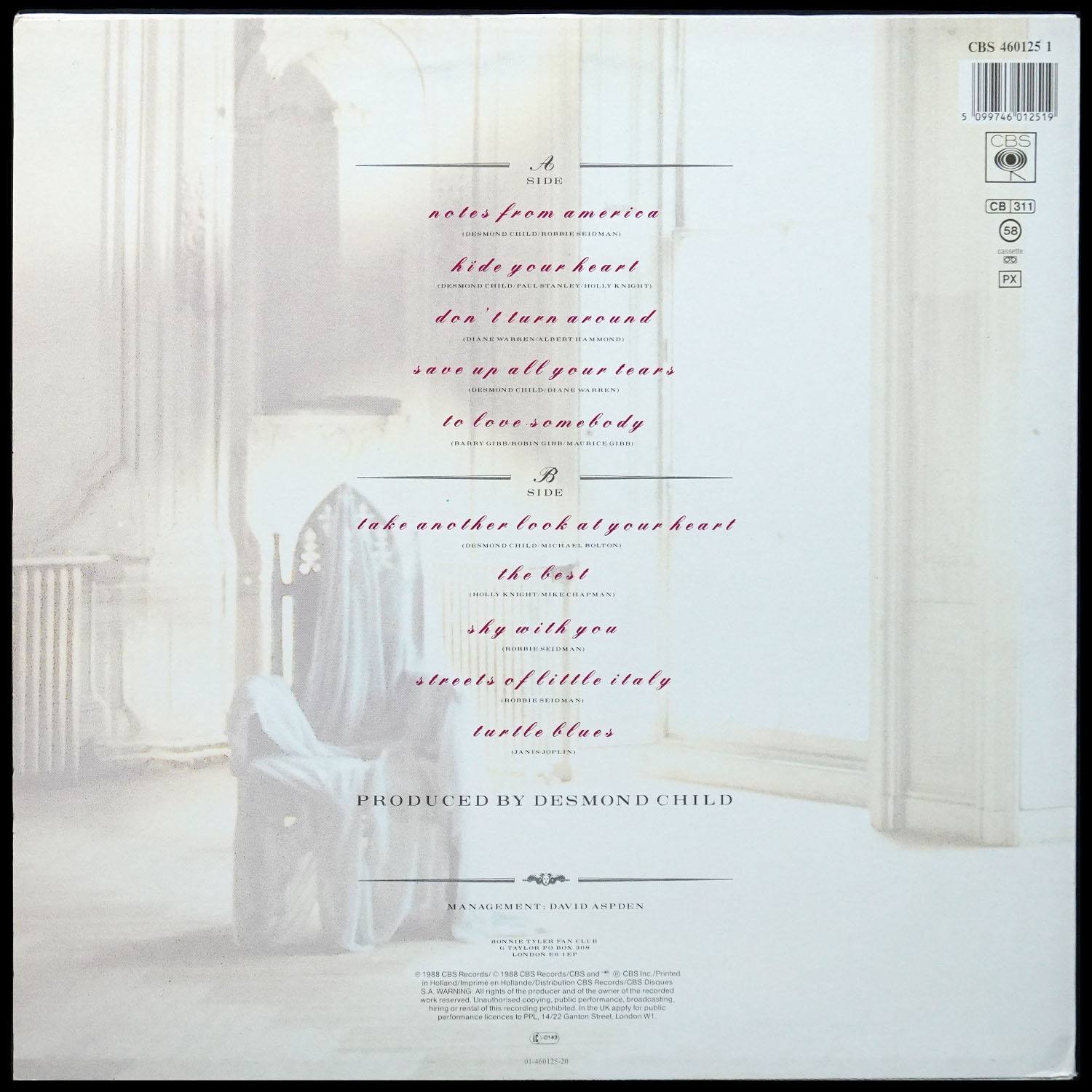 LP Bonnie Tyler — Hide Your Heart фото 2
