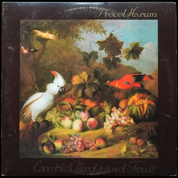 Exotic Birds And Fruit