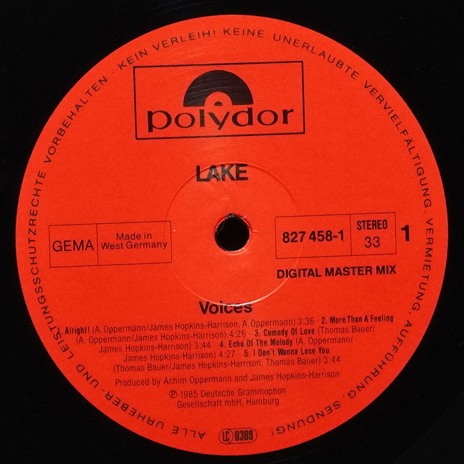 LP Lake — Voices фото 2