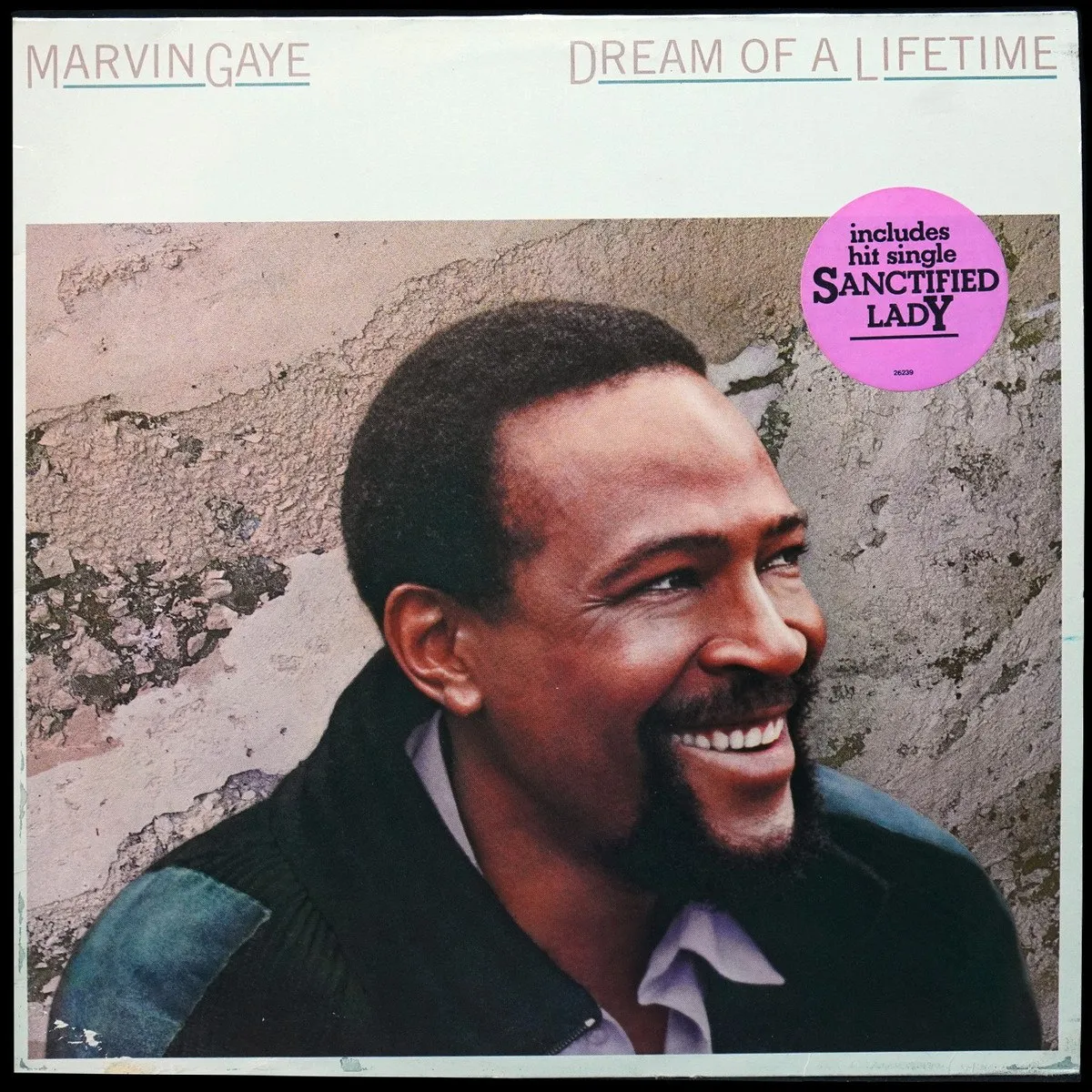 LP Marvin Gaye — Dream Of A Lifetime фото